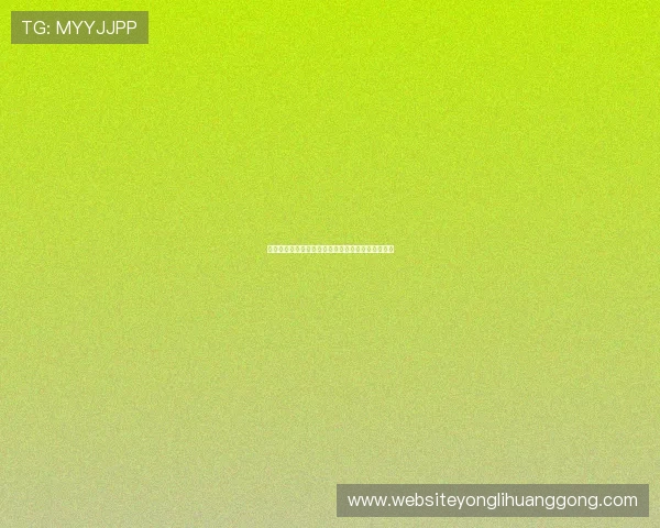 总统娱乐场最新安全技术保障玩家账户信息安全措施